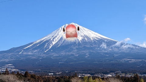 賀正文鳥山