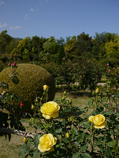 河津バガテル公園