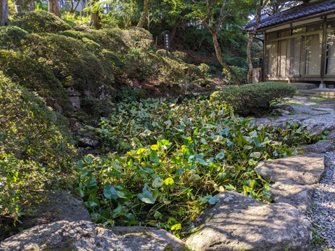 岩松院