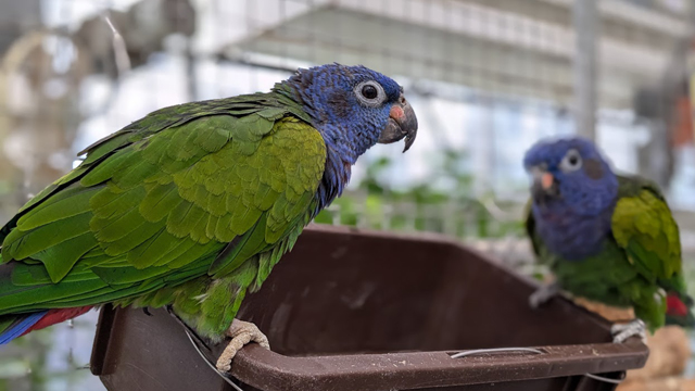 掛川花鳥園