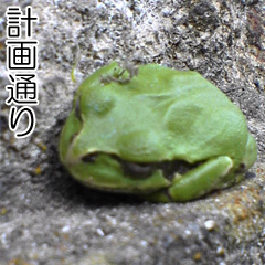 救世主キラ伝説