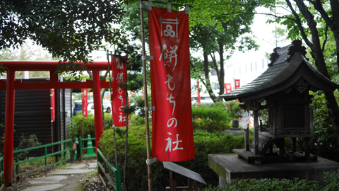 餅もちの社