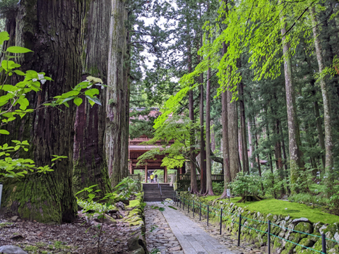 わんこ寺