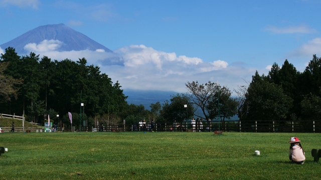 MAKAINO