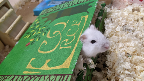 ユキ