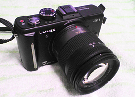 LUMIX DMC-GF1