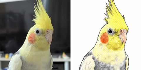 ピピチャン
