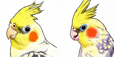 ピピチャン