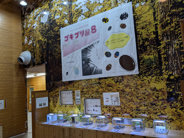 ゴキブリ展 8