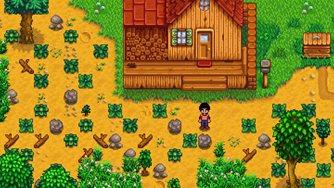 Stardew Valley