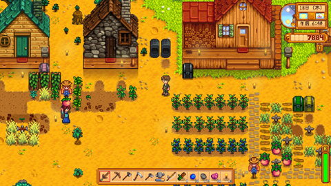 Stardew Valley