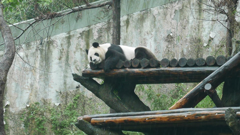 台北市立動物園
