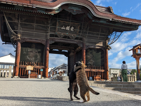 善光寺